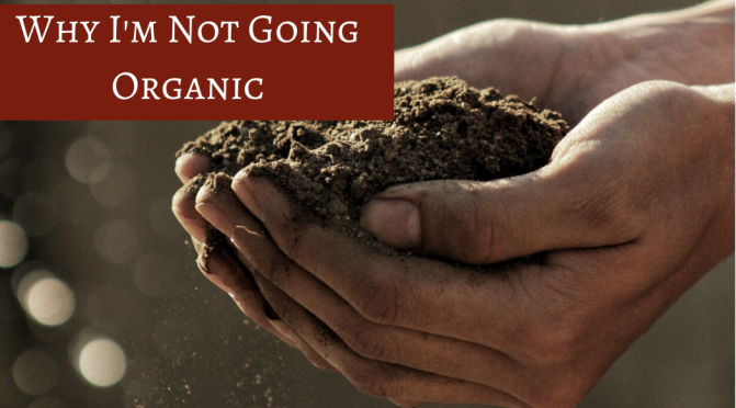 Why I’m NOT Gardening Organically